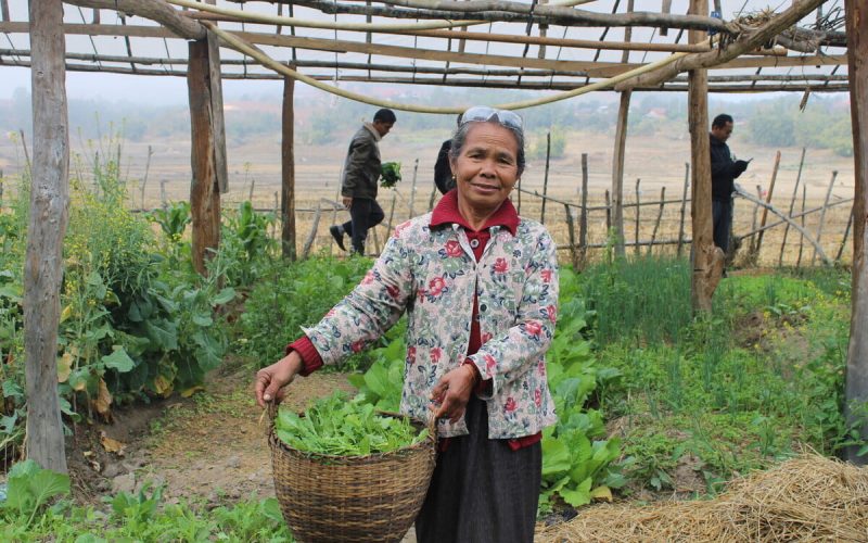 Eine Frau steht vor einem Gewächshaus mit einem Korb voller Ernte
