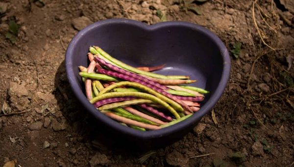Eine Schüssel in Herzform gefüllt mit bunten Bohnen