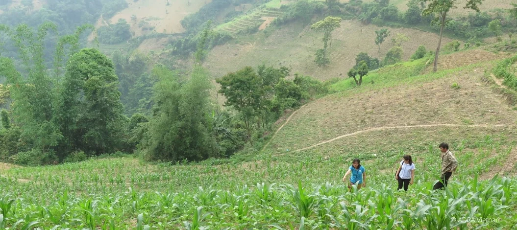 Landwirtschaft in Vietnam, drei Menschen begehen ein Feld