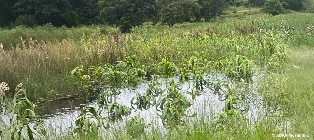 Überschwemmte landwirtschaftliche Flächen in Mosambik zeigen die Folgen heftiger Regenfälle und Unwetter.